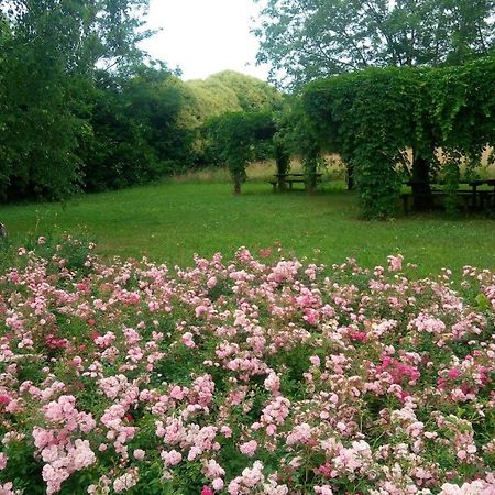 Agriturismo Il Magicorto Cassola المظهر الخارجي الصورة