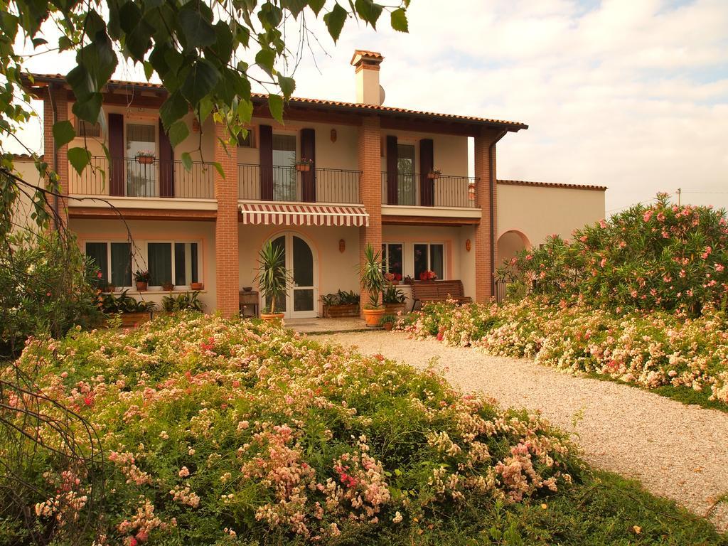 Agriturismo Il Magicorto Cassola المظهر الخارجي الصورة