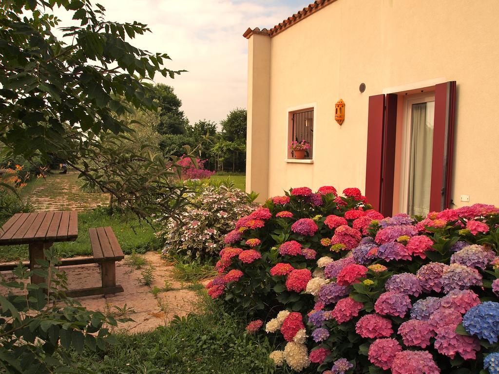 Agriturismo Il Magicorto Cassola الغرفة الصورة