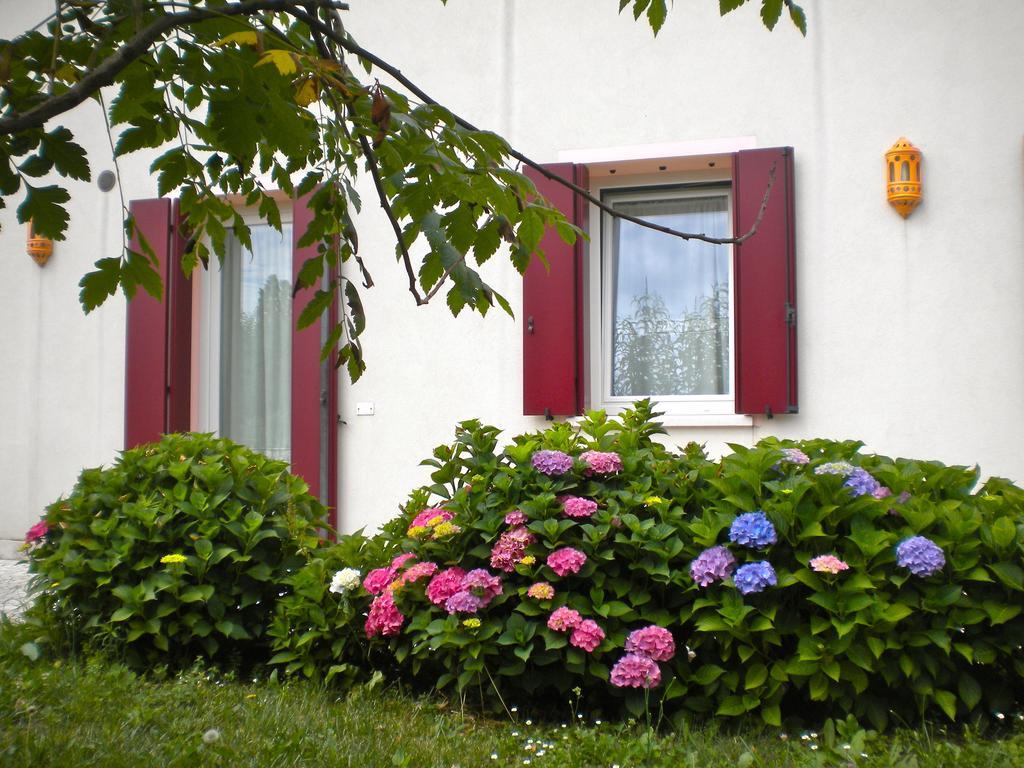 Agriturismo Il Magicorto Cassola الغرفة الصورة