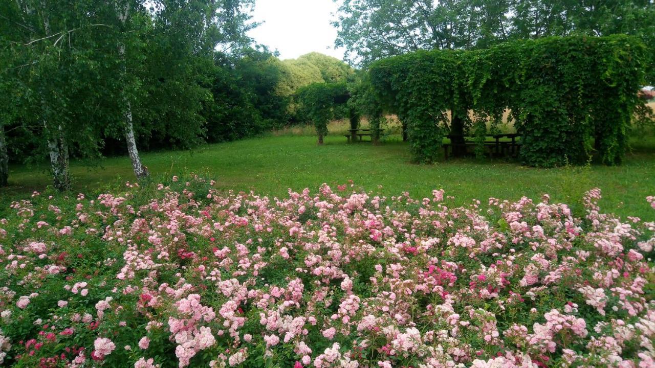 Agriturismo Il Magicorto Cassola المظهر الخارجي الصورة