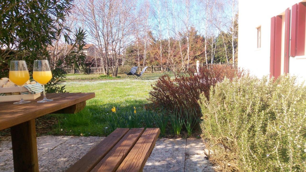 Agriturismo Il Magicorto Cassola المظهر الخارجي الصورة