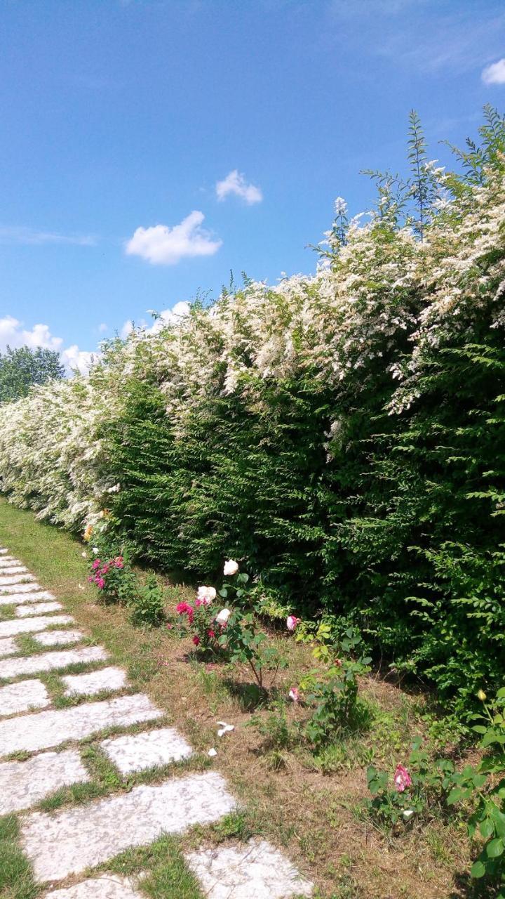 Agriturismo Il Magicorto Cassola المظهر الخارجي الصورة
