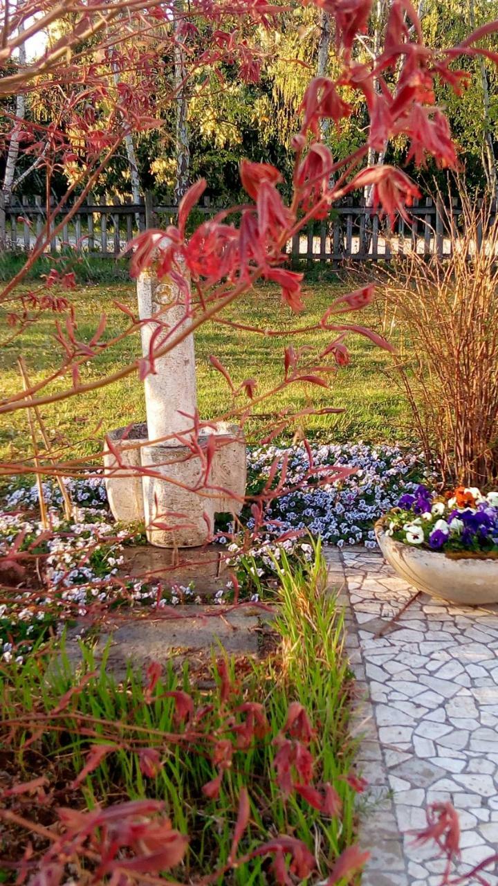Agriturismo Il Magicorto Cassola المظهر الخارجي الصورة